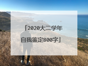 2020大二学年自我鉴定800字