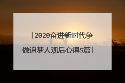 2020奋进新时代争做追梦人观后心得5篇