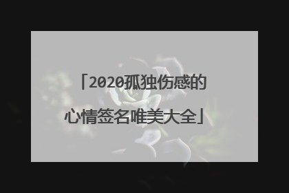 2020孤独伤感的心情签名唯美大全