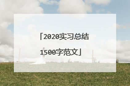 2020实习总结1500字范文