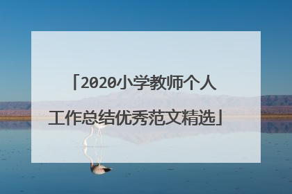 2020小学教师个人工作总结优秀范文精选