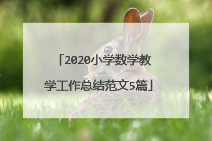 2020小学数学教学工作总结范文5篇