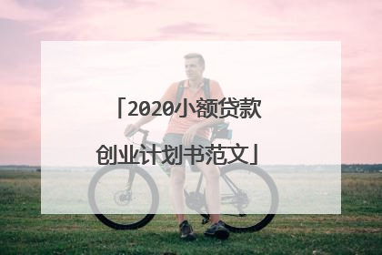 2020小额贷款创业计划书范文