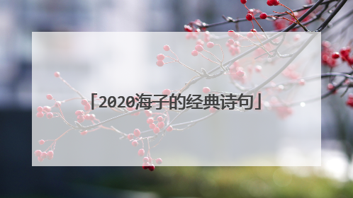 2020海子的经典诗句