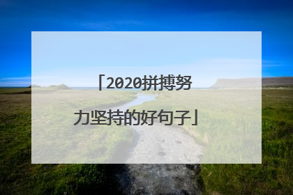 2020拼搏努力坚持的好句子