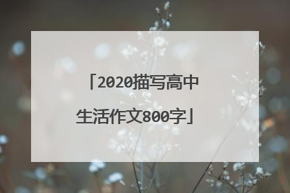 2020描写高中生活作文800字