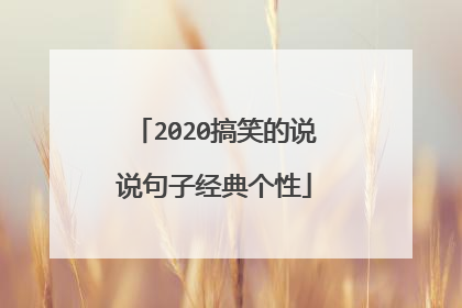 2020搞笑的说说句子经典个性