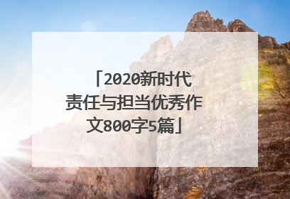 2020新时代责任与担当优秀作文800字5篇