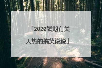 2020暑期有关天热的搞笑说说