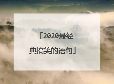 2020最经典搞笑的语句