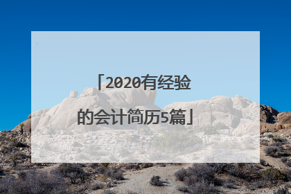 2020有经验的会计简历5篇