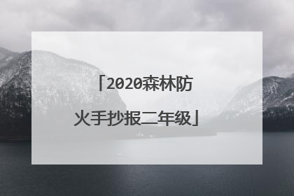 2020森林防火手抄报二年级