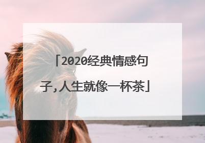 2020经典情感句子,人生就像一杯茶