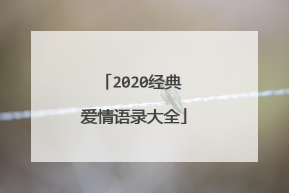 2020经典爱情语录大全