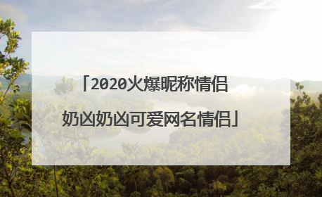 2020火爆昵称情侣 奶凶奶凶可爱网名情侣