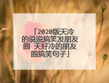 2020版天冷的说说搞笑发朋友圈 天好冷的朋友圈搞笑句子