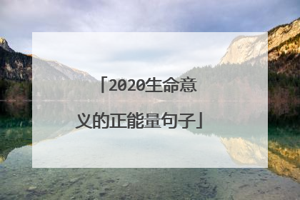 2020生命意义的正能量句子