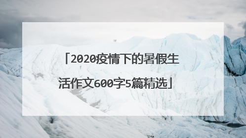 2020疫情下的暑假生活作文600字5篇精选