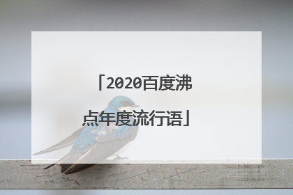 2020百度沸点年度流行语