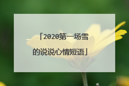 2020第一场雪的说说心情短语