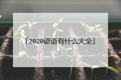 2020谚语有什么大全