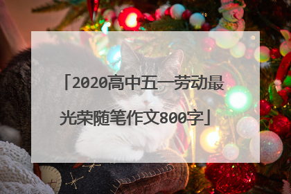 2020高中五一劳动最光荣随笔作文800字