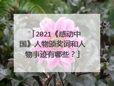 2021《感动中国》人物颁奖词和人物事迹有哪些？