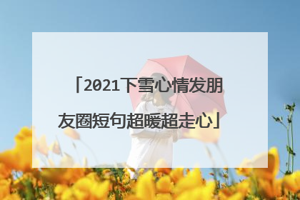 2021下雪心情发朋友圈短句超暖超走心