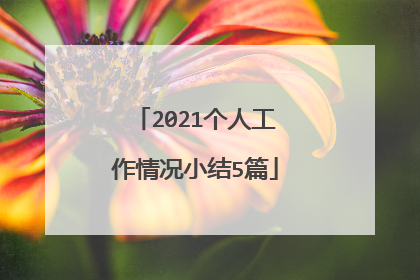 2021个人工作情况小结5篇