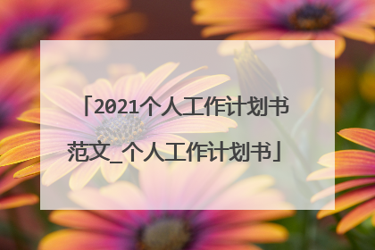 2021个人工作计划书范文_个人工作计划书