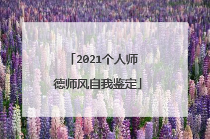 2021个人师德师风自我鉴定