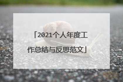 2021个人年度工作总结与反思范文