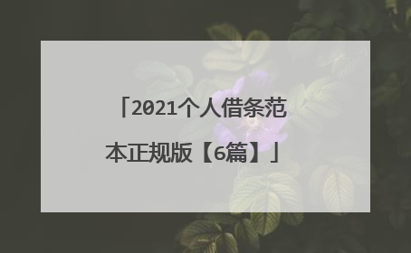 2021个人借条范本正规版【6篇】