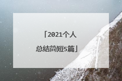 2021个人总结简短5篇