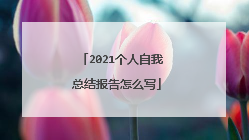 2021个人自我总结报告怎么写