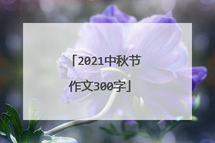2021中秋节作文300字