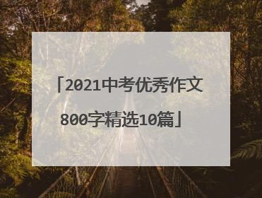 2021中考优秀作文800字精选10篇