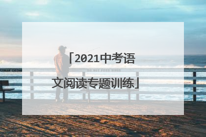2021中考语文阅读专题训练