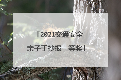 2021交通安全亲子手抄报一等奖