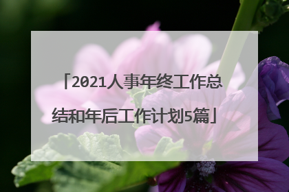 2021人事年终工作总结和年后工作计划5篇