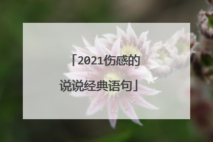 2021伤感的说说经典语句