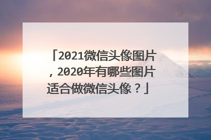 2021微信头像图片，2020年有哪些图片适合做微信头像？