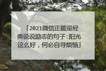2021微信正能量经典说说励志的句子:阳光这么好，何必自寻烦恼