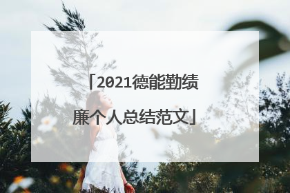 2021德能勤绩廉个人总结范文
