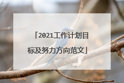 2021工作计划目标及努力方向范文