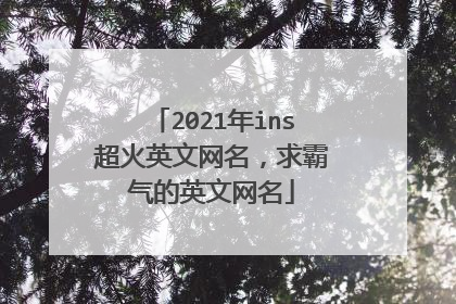 2021年ins超火英文网名,求霸气的英文网名