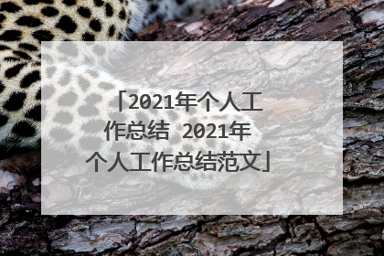 2021年个人工作总结 2021年个人工作总结范文