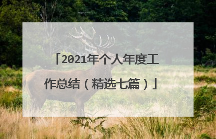 2021年个人年度工作总结(精选七篇)