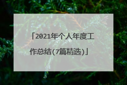 2021年个人年度工作总结(7篇精选)