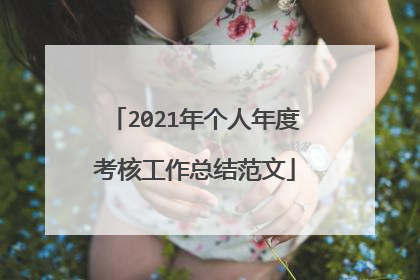 2021年个人年度考核工作总结范文